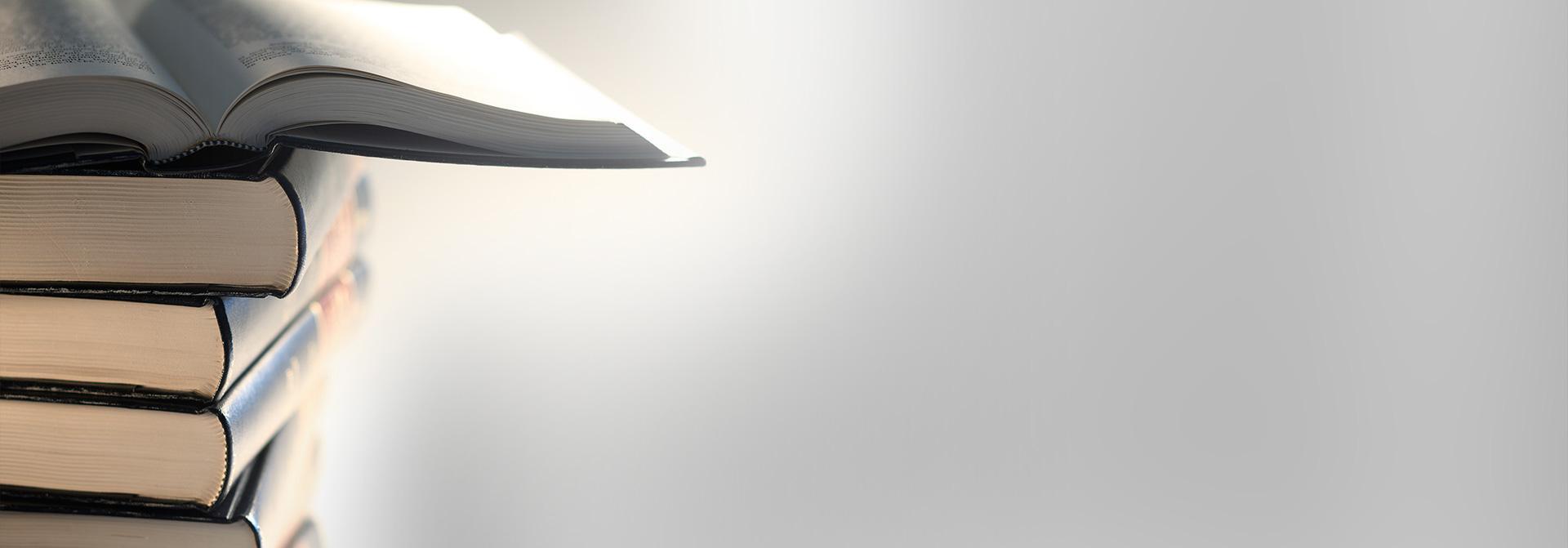 Księgi sądowe - Slajd 2